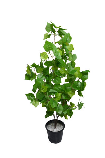 Artificial croton Leaves plant 3 branches Height 95 CM