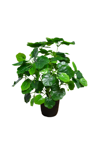 Artificial croton Leaves plant 18 branches Height 51 CM