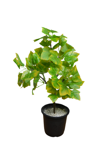 Artificial  53 CM Real touch feel Leaves plant 3 branches