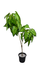 Artificial Lily Leaves plant 2 branches Height 90 CM
