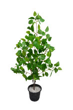 Artificial croton Leaves plant 3 branches Height 95 CM