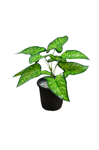 32 cm Artificial lily  leaves plant 9 Branches