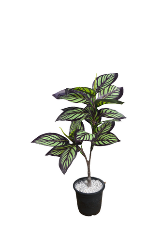 Artificial Green Leaves plant 2 branches Height 65 CM