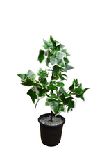 Artificial  53 CM Real touch feel Leaves plant 3 branches