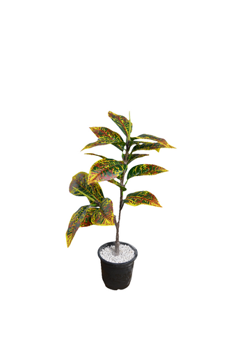 Artificial Green Leaves plant 2 branches Height 65 CM