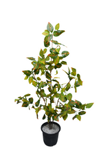 Artificial croton Leaves plant 3 branches Height 95 CM