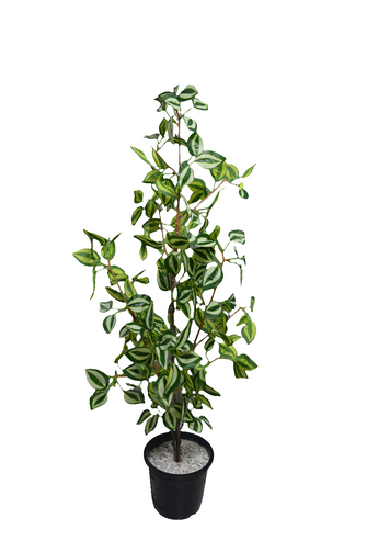 Artificial croton Leaves plant 3 branches Height 95 CM