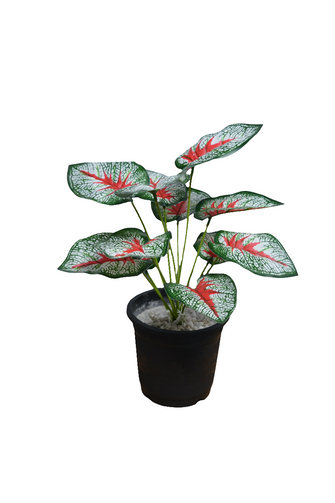 Artificial Leaves plant 12 branches Height 35 CM
