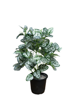 Artificial croton Leaves plant 18 branches Height 51 CM
