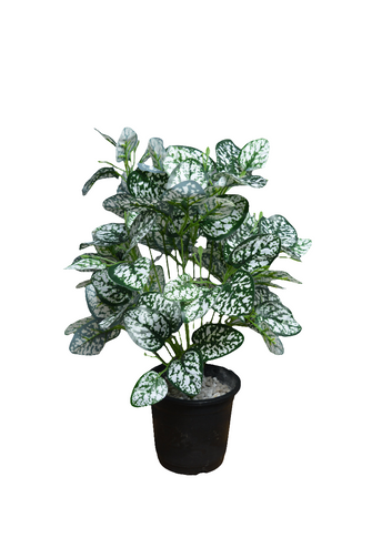 Artificial croton Leaves plant 18 branches Height 51 CM