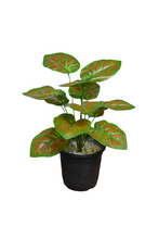 Artificial Leaves plant 12 branches Height 35 CM