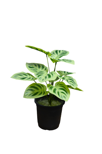 Artificial Leaves plant 12 branches Height 35 CM