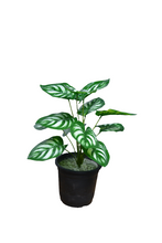 Artificial Leaves plant 12 branches Height 35 CM