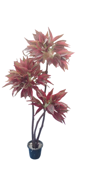 5 feet Artificial chinese Amaranth plant set of 3