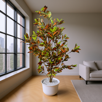 Garden Croton Plant