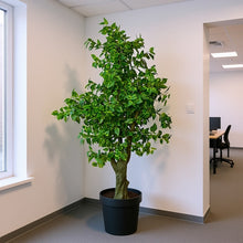 Artificial Real Touch Leaves plant 5.5 Feet Height ( without pot)