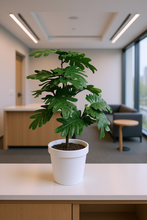 Artificial  53 CM Pam Leaves plant 3 branches Height