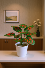 Artificial Leaves plant 12 branches Height 35 CM