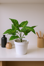 32 cm Artificial lily  leaves plant 9 Branches
