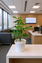 Artificial  46 CM Real touch feel Leaves plant 12 branch