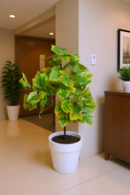 Artificial  53 CM Real touch feel Leaves plant 3 branches