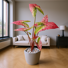 Artificial Plant without Pot - 40- Height (2.5 Feet)