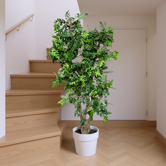 Artificial Plant without Pot  Height (6 Feet)