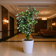 Artificial Plant without Pot - 60- Height (6 Feet) 11