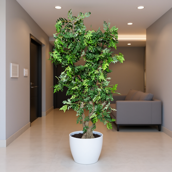 Artificial Plant without Pot  Height (6 Feet)