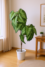 Artificial Lily Leaves plant 2 branches Height 90 CM