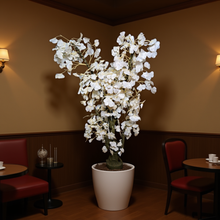 Artificial Plant without Pot - 60- Height (6 Feet) 6
