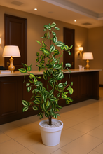 Artificial croton Leaves plant 3 branches Height 95 CM