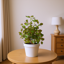 Artificial Real Touch Leaves Plant (size 26inch)