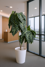 Artificial Lily Leaves plant 2 branches Height 90 CM