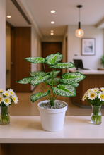 Artificial Leaves plant 12 branches Height 35 CM