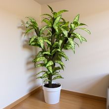 Artificial Plant Tree 6 feet height  in  Moss Stem