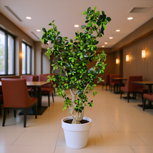 Artificial Plant without Pot - 60- Height (6 Feet) 18