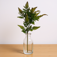 Artificial fern leaves bunch without pot (Height 52 x width 20 cm)