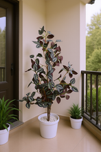 Artificial croton Leaves plant 3 branches Height 95 CM