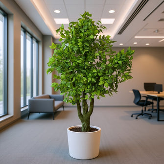 Artificial Real Touch Leaves plant 5.5 Feet Height ( without pot)