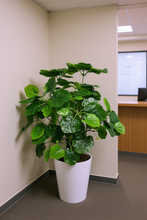 Artificial croton Leaves plant 18 branches Height 51 CM