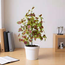 Artificial Real Touch Leaves Plant (size 26inch)