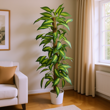 Artificial Plant without Pot - 62- Height (6 Feet)