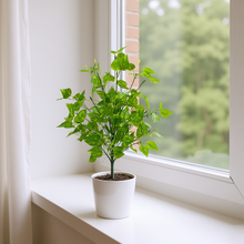 Artificial Real Touch Leaves Plant (size 26inch)