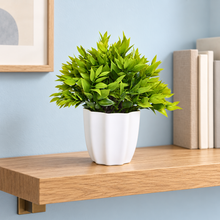 Artificial Green Leaves Bunch in Pot - 22 cm Height
