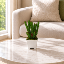Artificial Succulent Spike Cactus Plant in pot (Height 19 cm )