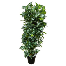 Artificial Plant without Pot - 52- Height (3 Feet)