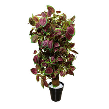 Artificial Plant without Pot - 55- Height (3 Feet)