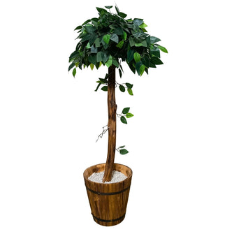 Artificial Plant without Pot - 57- Height (4 Feet)