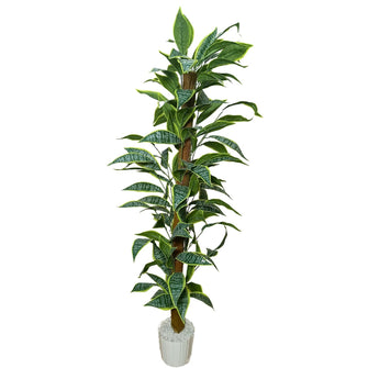 Artificial Plant without Pot - 59- Height (6 Feet)